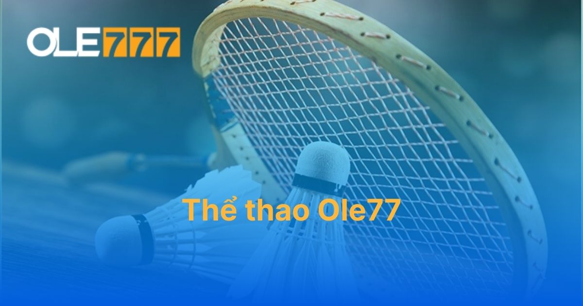 Cá cược thể thao hàng đầu 24/7